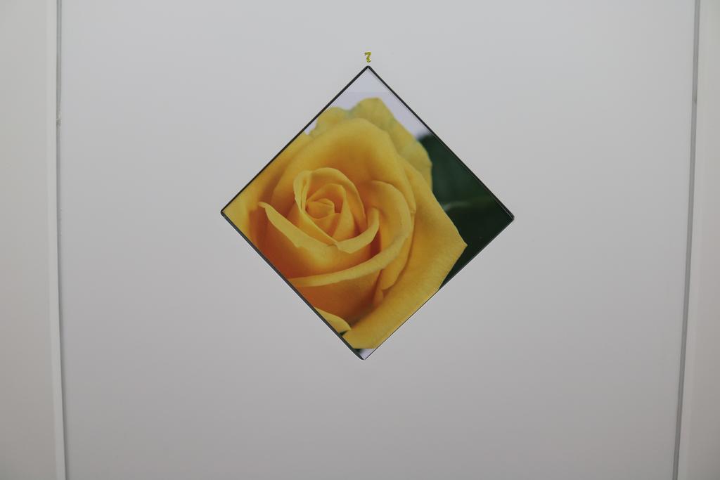 Le Tre Rose Bed & Breakfast Casamassima Dış mekan fotoğraf